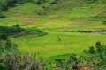 Labuhan Bajo - Bajawa 'On The Road' (18)